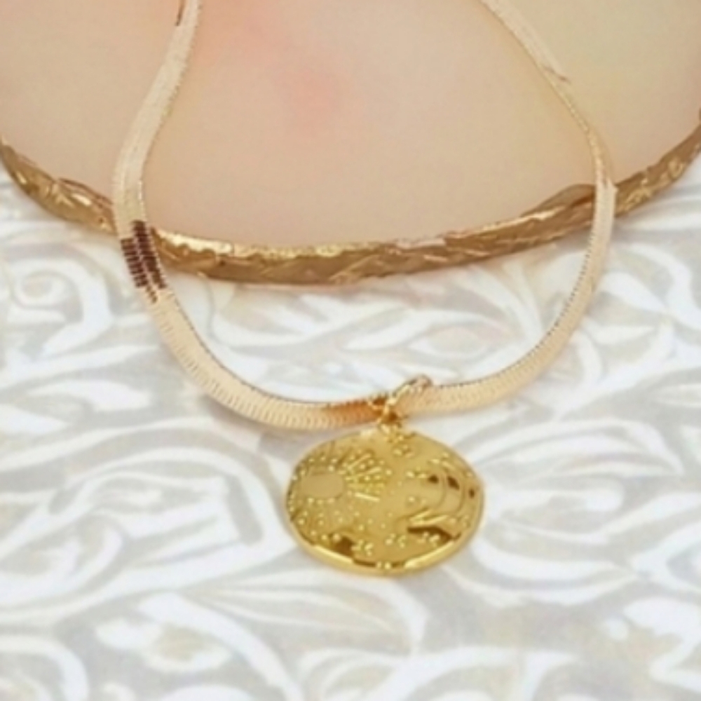 14K Gold Coin Medallion Choker Collar Necklace Preppy Coquette Girl 70s Disco